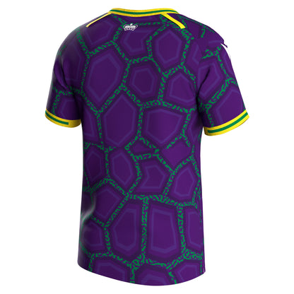 Reading Third Shirt 2023-24