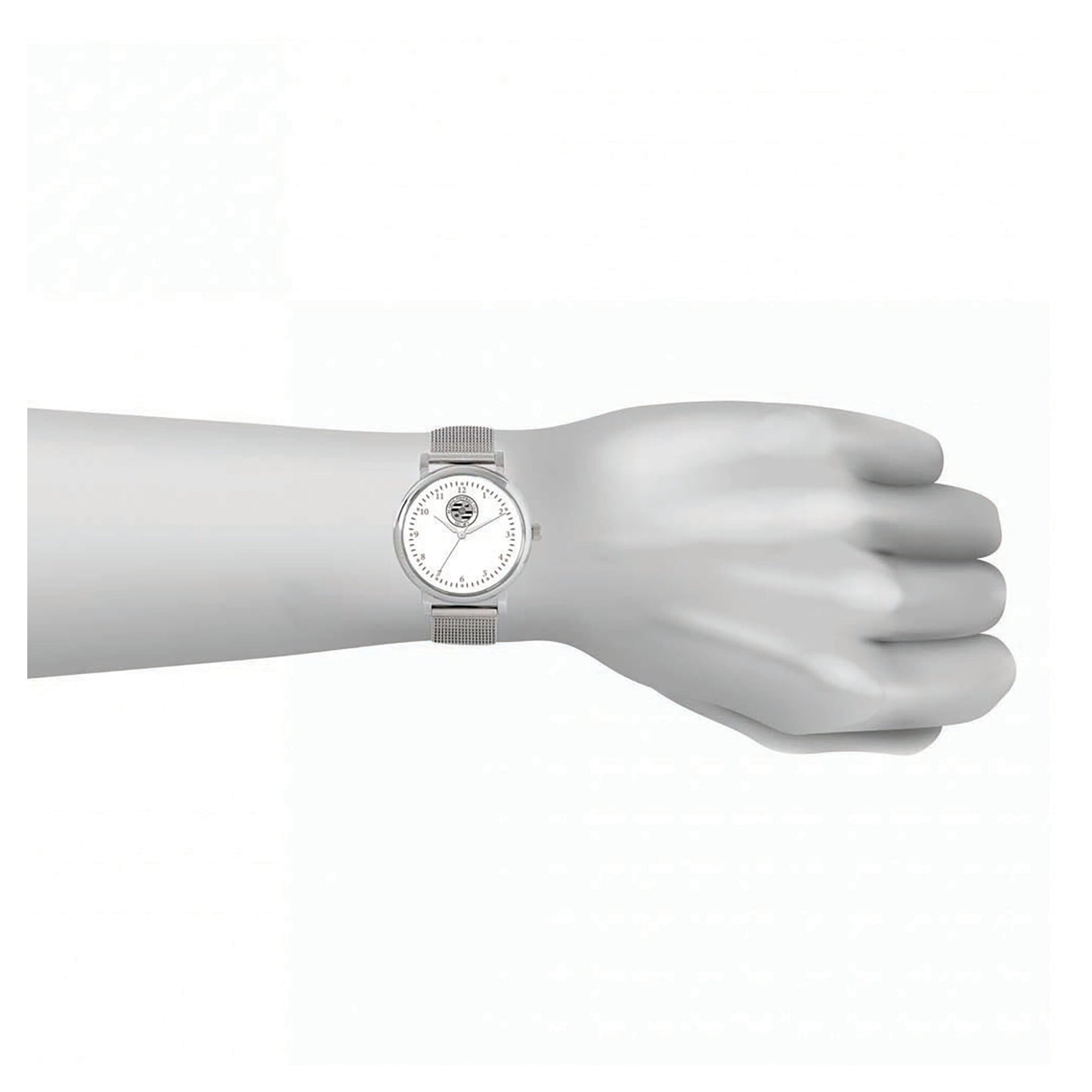 Reading Silver Case - Mesh Strap Watch - Women's